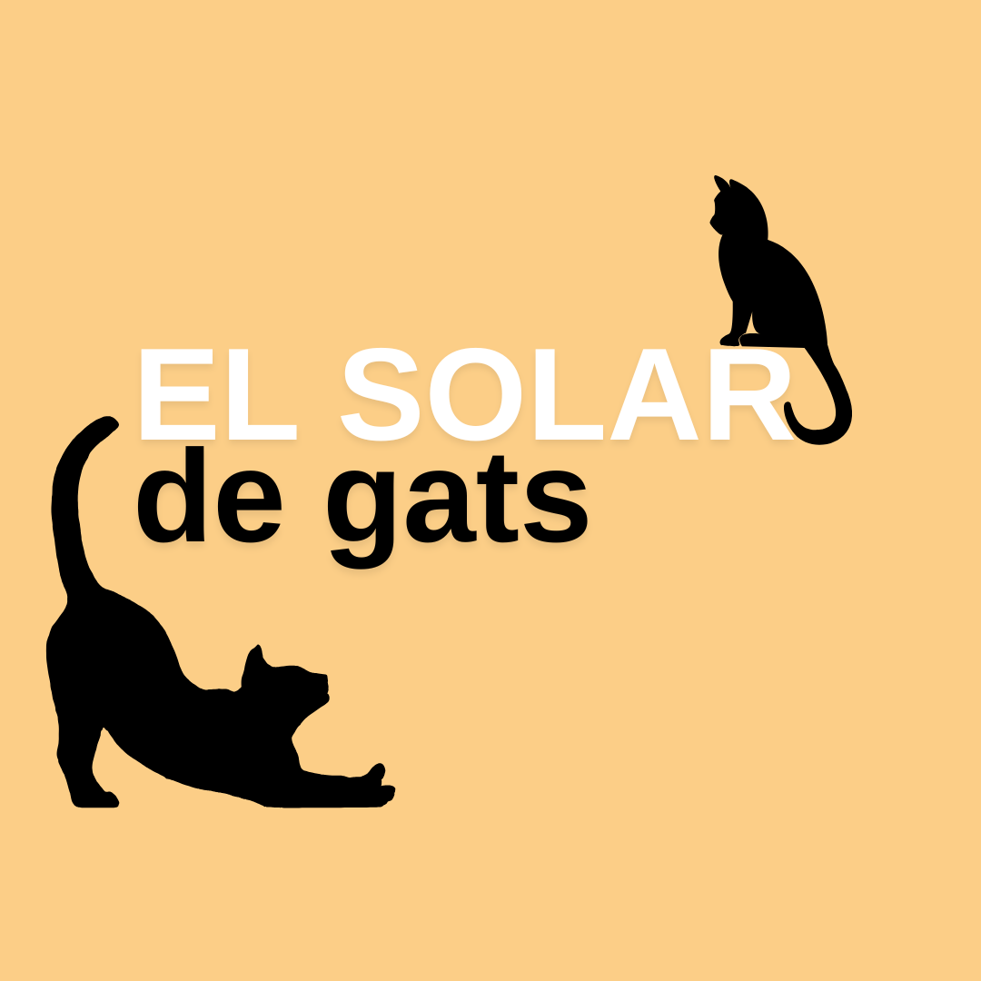 El solar de gats_post
