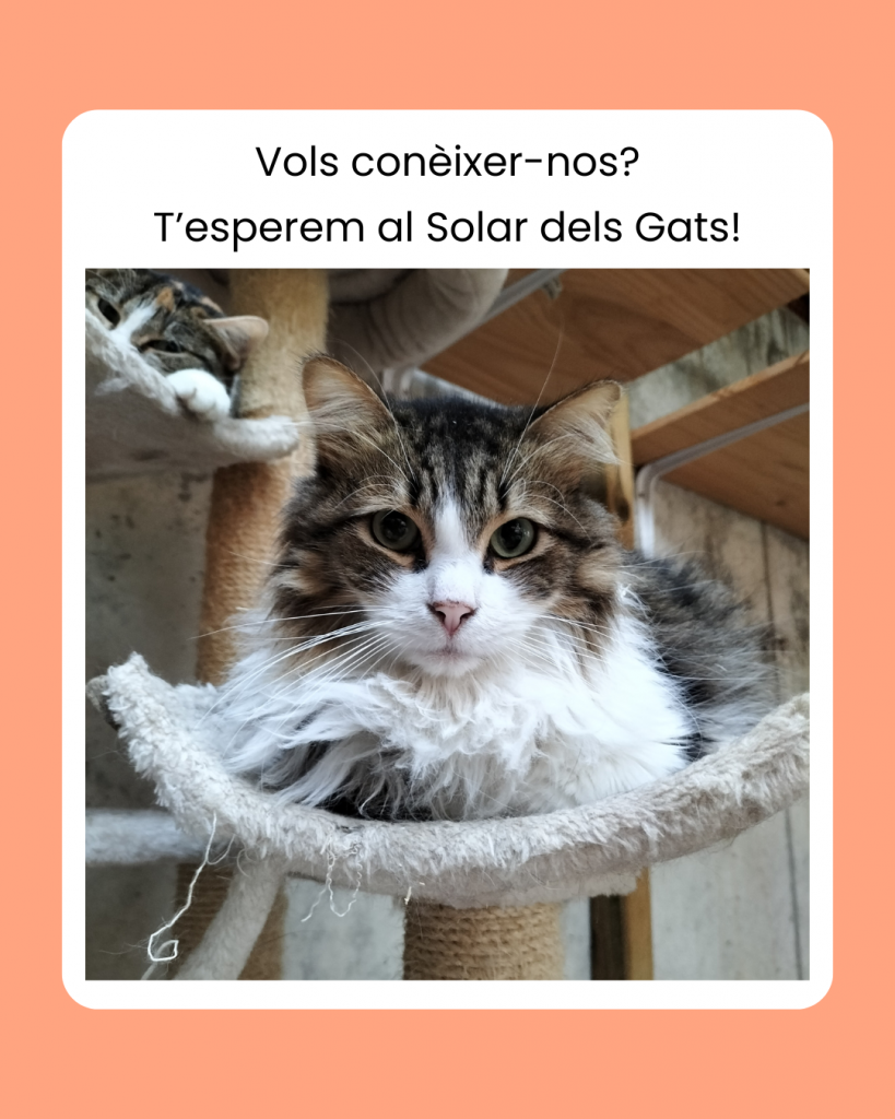 Nosaltres et volem coneixer, vine