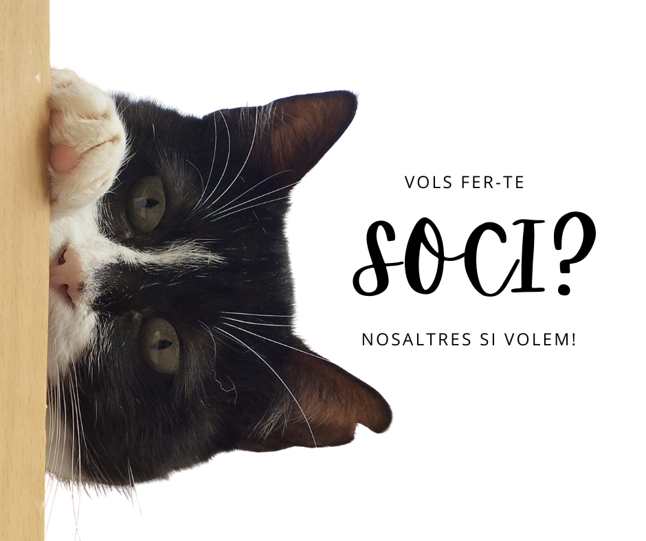 Volem que et fassi soci amb nosaltres