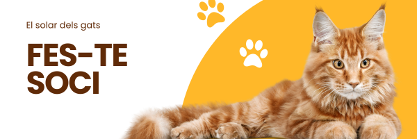 Fes-te soci/a